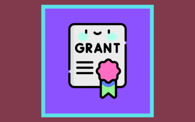 Disability Grant For Mobility Aids