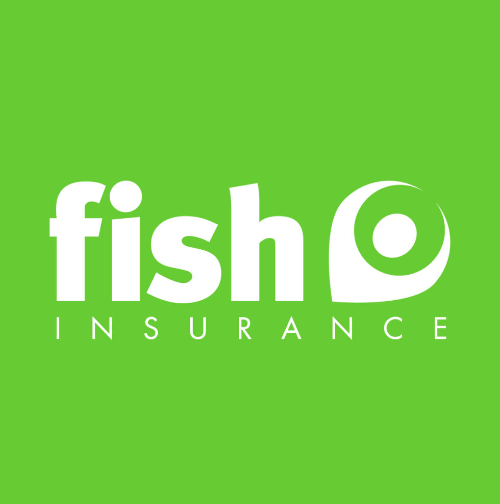 Mobility Hoist Insurance Review Mobility