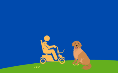 Best Mobility Scooter For Walking a Dog