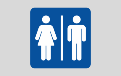 Best Bathroom Transfer Aids – Best Sellers
