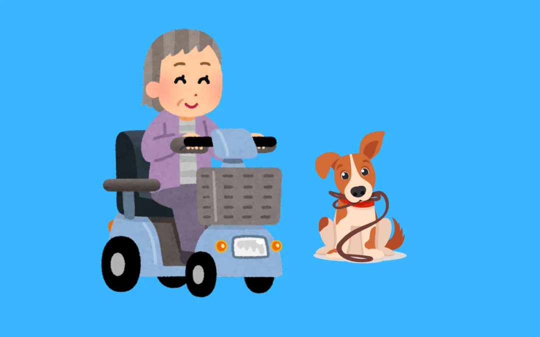 Best Dog Walking Attachments For Mobility Scooters | Review Mobility