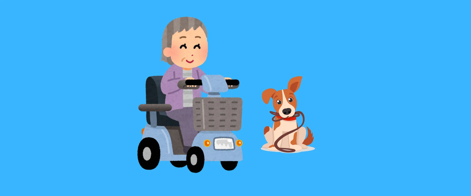 Best Dog Walking Attachments For Mobility Scooters