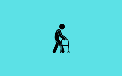 Best 3-Wheel Walkers with Seats and Baskets in 2025 – Practical and Popular Picks!”