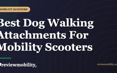 Best Dog Walking Attachments For Mobility Scooters