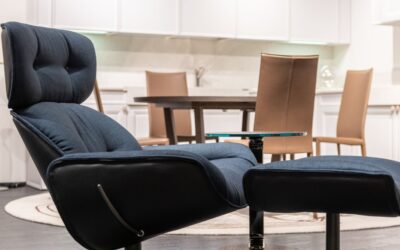 Best Dual Motor Riser Recliner Chairs for Comfort & Mobility