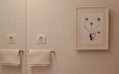 Best Toilet Seat Riser for Elderly: Review of Top Raised Toilet Seats