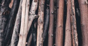 Best Walking Sticks with Seats UK (2026): 5 Seat Sticks Compared