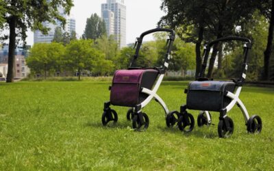 Best Zimmer Frames – Best Sellers