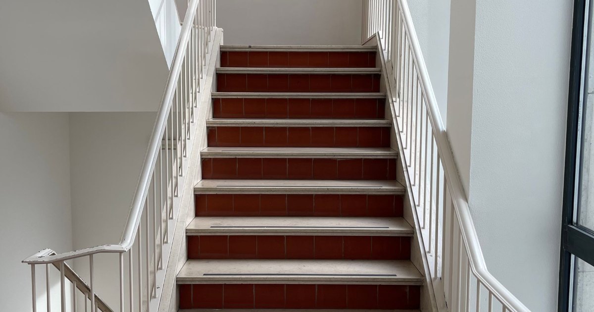 Staircase with dark treads A staircase with dark wooden treads and a white balustrade