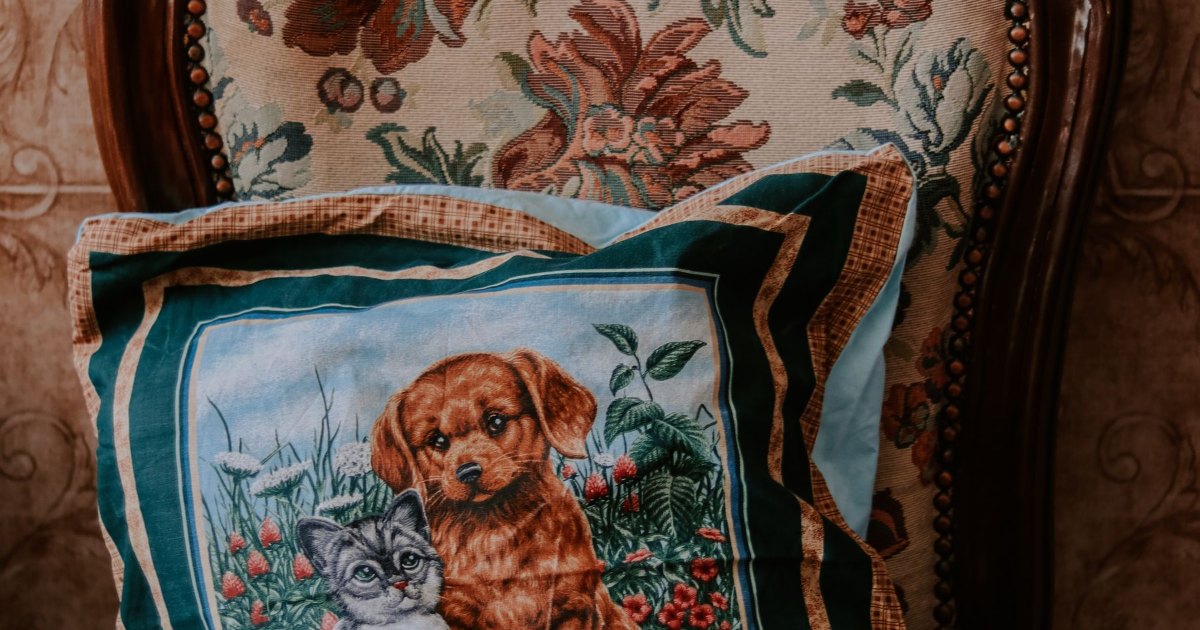 A patterned cushion resting on a chair at home