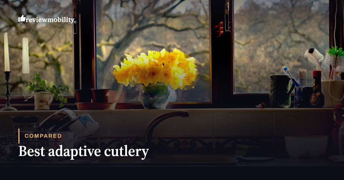 Best adaptive cutlery Kitchen window scene with a vase of yellow flowers and overlaid text 'Best adaptive cutlery'โa product comparison image for a review article.