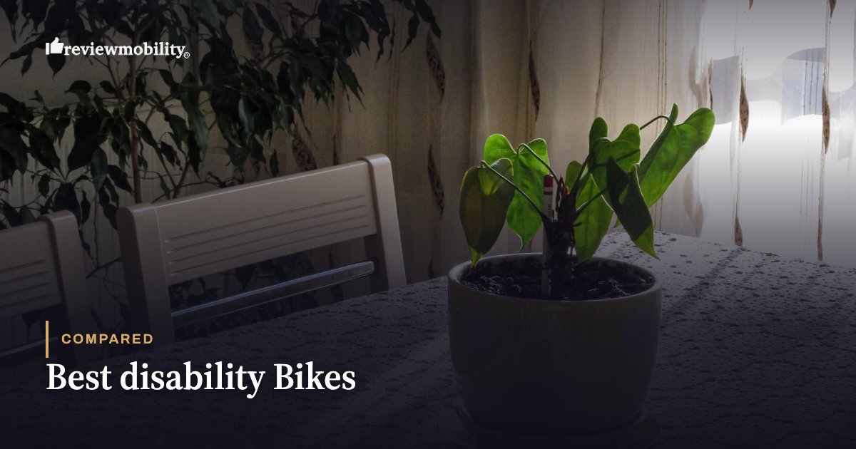 Hero image with a potted plant on a table and chairs in the background; overlay text reads “Best disability Bikes” for a comparison article.
