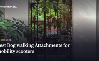 Best Dog Walking Attachments For Mobility Scooters