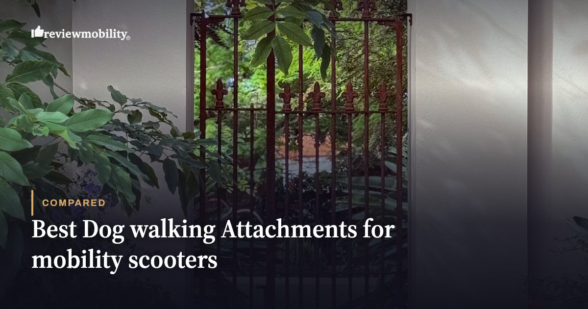 Best Dog walking Attachments for mobility scooters Best Dog walking Attachments for mobility scooters