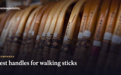 Best Handles for Walking Sticks