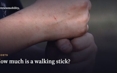 How Much Is A Walking Stick?