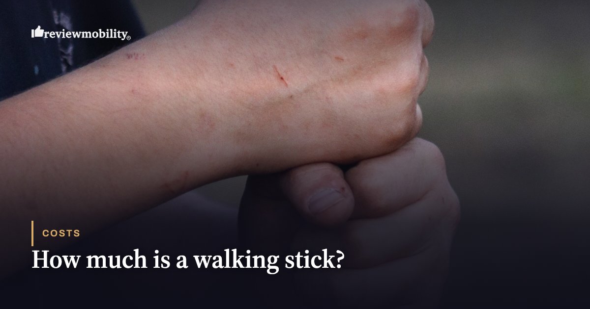 How much is a walking stick?