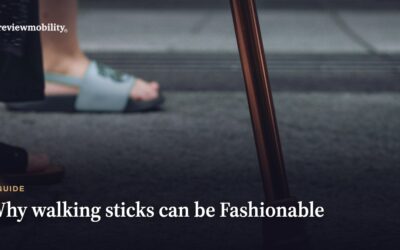 Why Walking Sticks Can Be Fashionable
